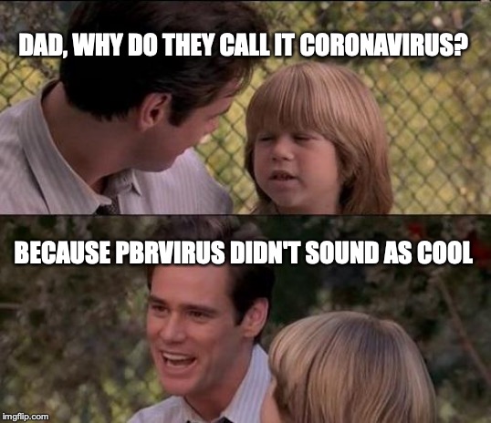 Coronavirus Questions | DAD, WHY DO THEY CALL IT CORONAVIRUS? BECAUSE PBRVIRUS DIDN'T SOUND AS COOL | image tagged in memes,thats just something x say,coronavirus,funny meme | made w/ Imgflip meme maker