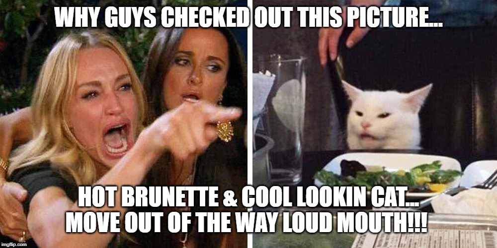 Smudge the cat | WHY GUYS CHECKED OUT THIS PICTURE... HOT BRUNETTE & COOL LOOKIN CAT...
MOVE OUT OF THE WAY LOUD MOUTH!!! | image tagged in smudge the cat | made w/ Imgflip meme maker