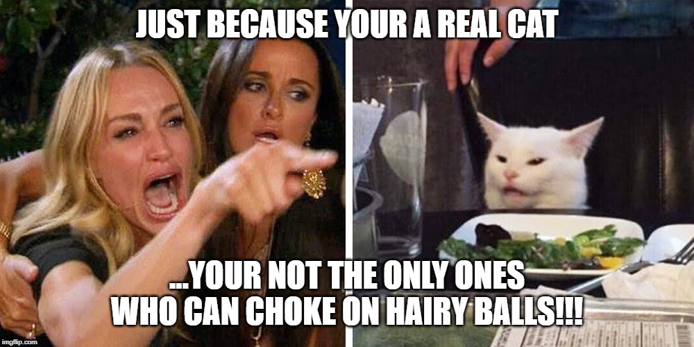 Smudge the cat | JUST BECAUSE YOUR A REAL CAT; ...YOUR NOT THE ONLY ONES WHO CAN CHOKE ON HAIRY BALLS!!! | image tagged in smudge the cat | made w/ Imgflip meme maker