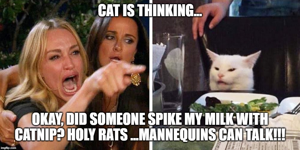 Smudge the cat | CAT IS THINKING... OKAY, DID SOMEONE SPIKE MY MILK WITH CATNIP? HOLY RATS ...MANNEQUINS CAN TALK!!! | image tagged in smudge the cat | made w/ Imgflip meme maker