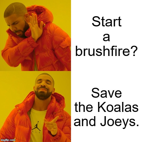Real Heroes Don't Wear Capes.... | Start a brushfire? Save the Koalas and Joeys. | image tagged in memes,drake hotline bling,fire,australia,animals | made w/ Imgflip meme maker