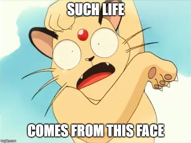 i like persian now. | SUCH LIFE; COMES FROM THIS FACE | image tagged in pokemon | made w/ Imgflip meme maker