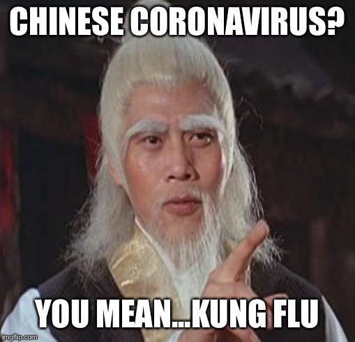 Kung Flu | CHINESE CORONAVIRUS? YOU MEAN...KUNG FLU | image tagged in wise kung fu master | made w/ Imgflip meme maker