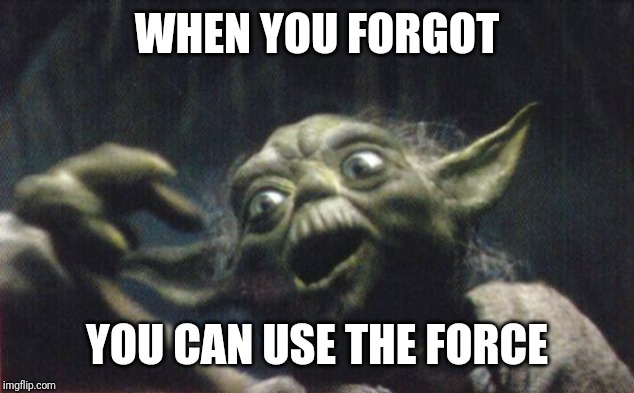 That moment.. | WHEN YOU FORGOT; YOU CAN USE THE FORCE | image tagged in http//wwwreocitiescom/area51/meteor/9836/yoda/yodafunface2jp,yoda,force | made w/ Imgflip meme maker