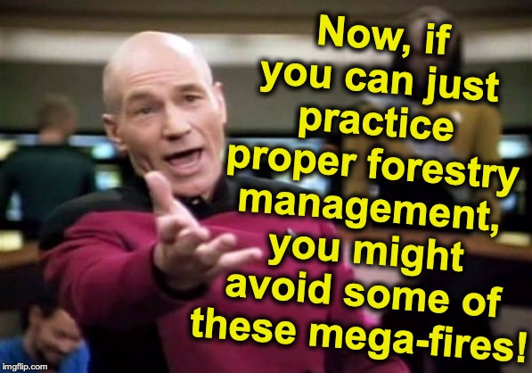 Picard Wtf Meme | Now, if you can just practice proper forestry management, you might avoid some of these mega-fires! | image tagged in memes,picard wtf | made w/ Imgflip meme maker