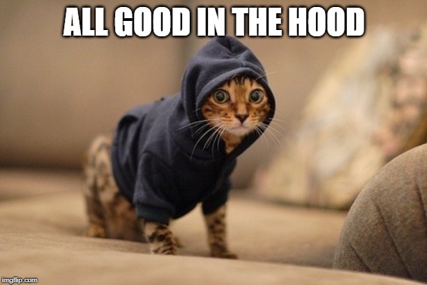 Hoody Cat Meme | ALL GOOD IN THE HOOD | image tagged in memes,hoody cat | made w/ Imgflip meme maker