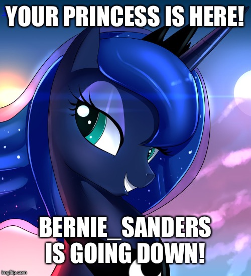 hello luna | YOUR PRINCESS IS HERE! BERNIE_SANDERS IS GOING DOWN! | image tagged in hello luna | made w/ Imgflip meme maker