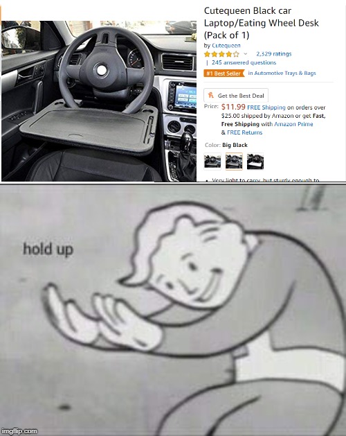 Hold Up | image tagged in fallout hold up,memes,driving | made w/ Imgflip meme maker
