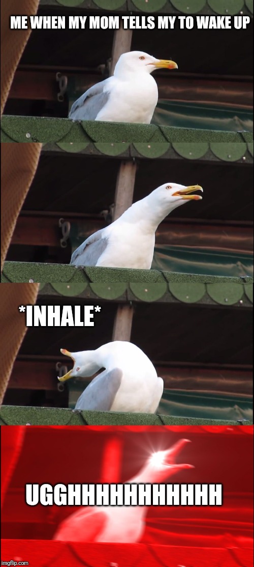 Inhaling Seagull | ME WHEN MY MOM TELLS MY TO WAKE UP; *INHALE*; UGGHHHHHHHHHHH | image tagged in memes,inhaling seagull | made w/ Imgflip meme maker