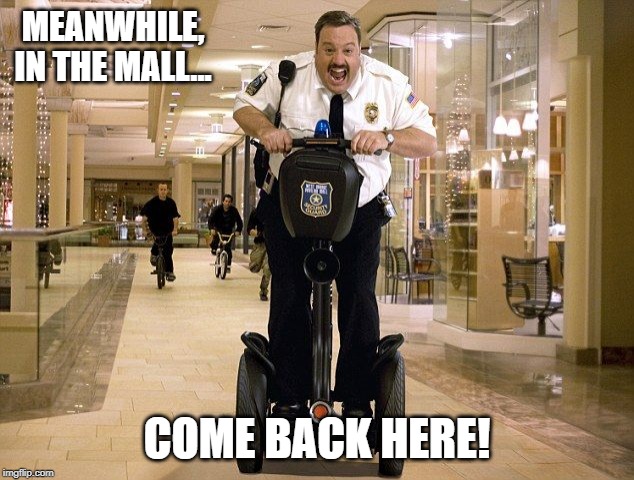 Paul Blart is Fatman on a Segway | MEANWHILE, IN THE MALL... COME BACK HERE! | image tagged in paul blart is fatman on a segway | made w/ Imgflip meme maker