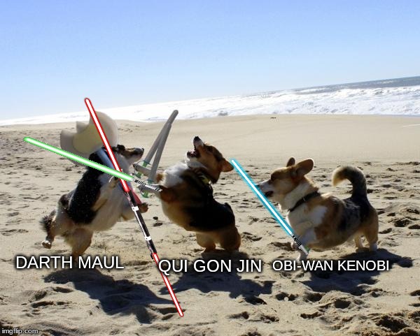 Dogs fight | DARTH MAUL; OBI-WAN KENOBI; QUI GON JIN | image tagged in dogs fight | made w/ Imgflip meme maker