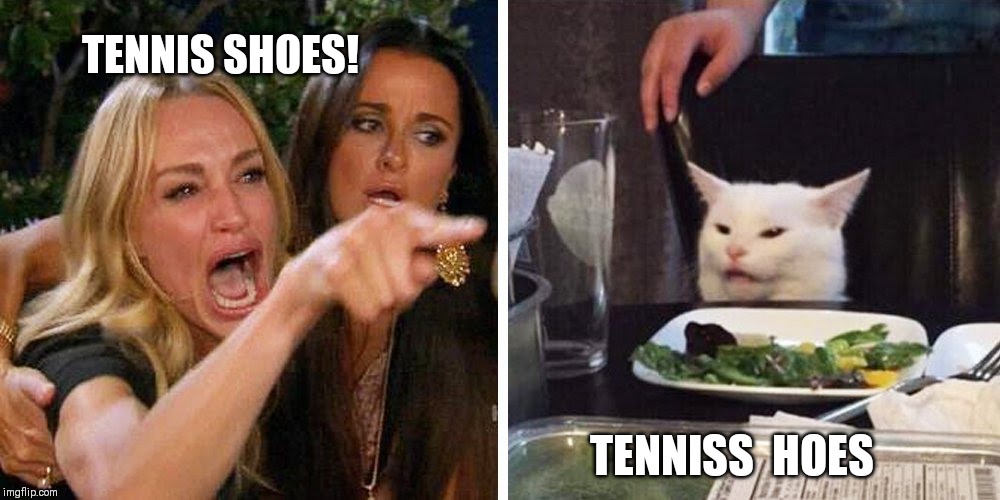 Smudge the cat | TENNIS SHOES! TENNISS  HOES | image tagged in smudge the cat | made w/ Imgflip meme maker