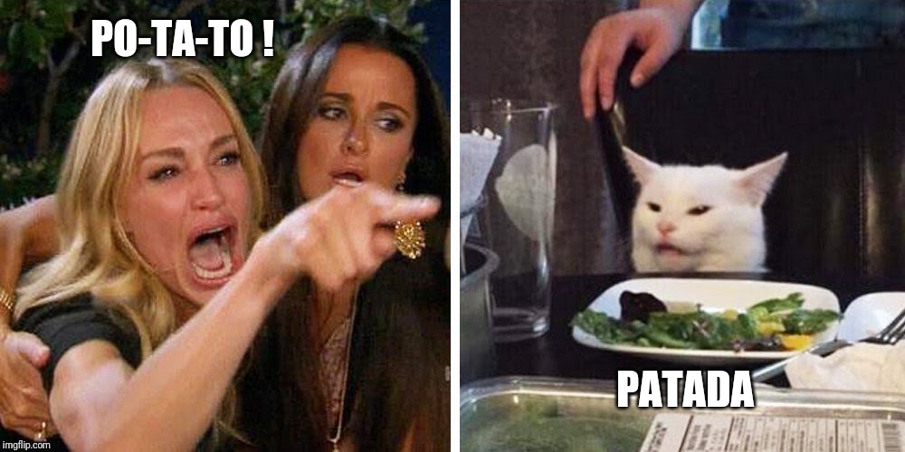 Smudge the cat | PO-TA-TO ! PATADA | image tagged in smudge the cat | made w/ Imgflip meme maker