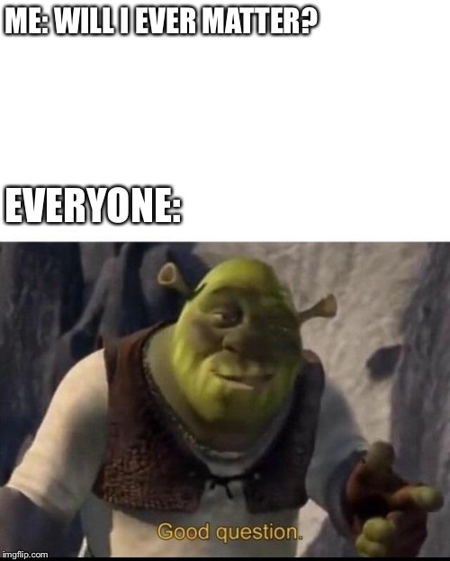 Good question! | ME: WILL I EVER MATTER? EVERYONE: | image tagged in shrek,memes,question | made w/ Imgflip meme maker