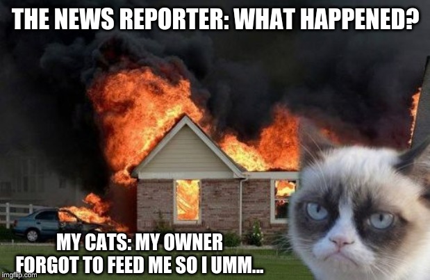 Burn Kitty Meme | THE NEWS REPORTER: WHAT HAPPENED? MY CATS: MY OWNER FORGOT TO FEED ME SO I UMM... | image tagged in memes,burn kitty,grumpy cat | made w/ Imgflip meme maker