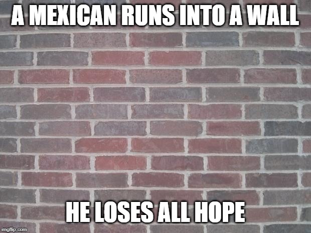 Poor Wall | A MEXICAN RUNS INTO A WALL; HE LOSES ALL HOPE | image tagged in the wall | made w/ Imgflip meme maker
