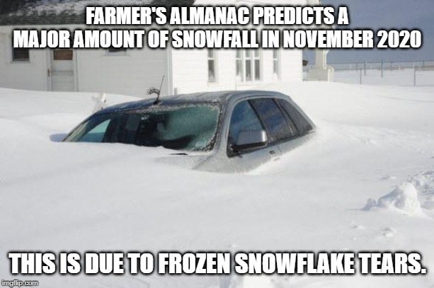 Snow storm Large | FARMER'S ALMANAC PREDICTS A MAJOR AMOUNT OF SNOWFALL IN NOVEMBER 2020 THIS IS DUE TO FROZEN SNOWFLAKE TEARS. | image tagged in snow storm large | made w/ Imgflip meme maker