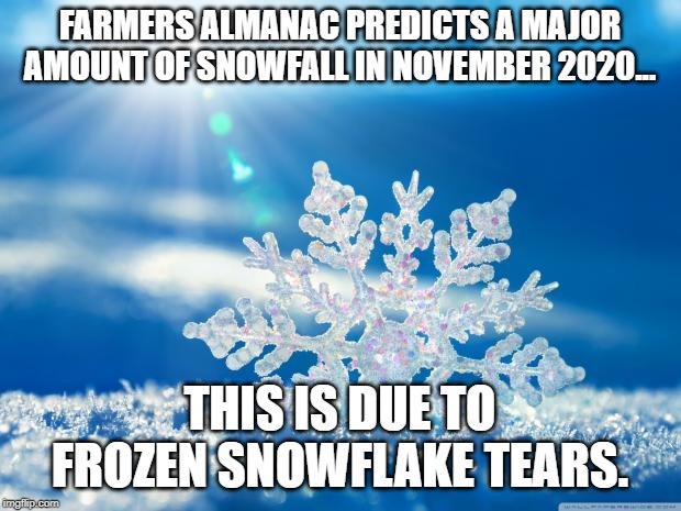 Trump Predicts More Snowflakes in 2020. | FARMERS ALMANAC PREDICTS A MAJOR AMOUNT OF SNOWFALL IN NOVEMBER 2020... THIS IS DUE TO FROZEN SNOWFLAKE TEARS. | image tagged in snowflake,tears,political meme,trump,election | made w/ Imgflip meme maker