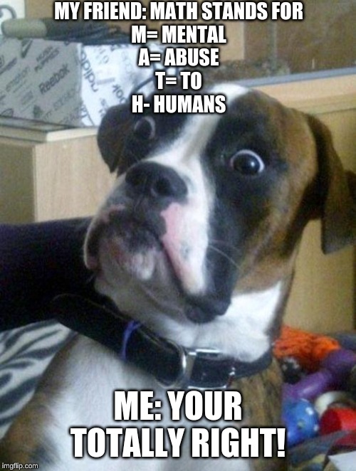 Suprised Boxer | MY FRIEND: MATH STANDS FOR
M= MENTAL
A= ABUSE
T= TO
H- HUMANS; ME: YOUR TOTALLY RIGHT! | image tagged in suprised boxer | made w/ Imgflip meme maker