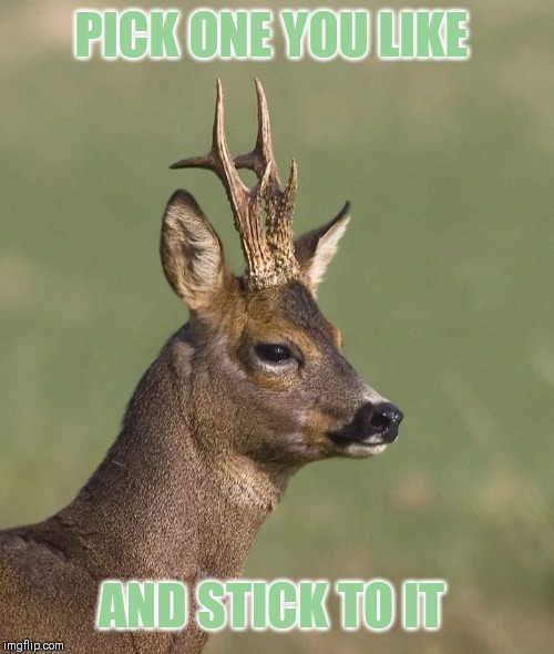 Sad deer | PICK ONE YOU LIKE AND STICK TO IT | image tagged in sad deer | made w/ Imgflip meme maker