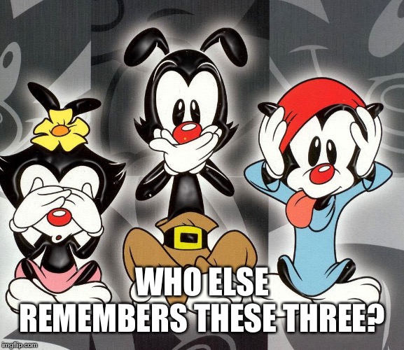 animaniacs | WHO ELSE REMEMBERS THESE THREE? | image tagged in animaniacs | made w/ Imgflip meme maker