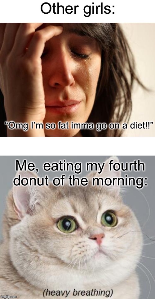 Does anyone else feel like this? ?? | Other girls:; “Omg I’m so fat imma go on a diet!!”; Me, eating my fourth donut of the morning: | image tagged in memes,heavy breathing cat,upset woman meme | made w/ Imgflip meme maker