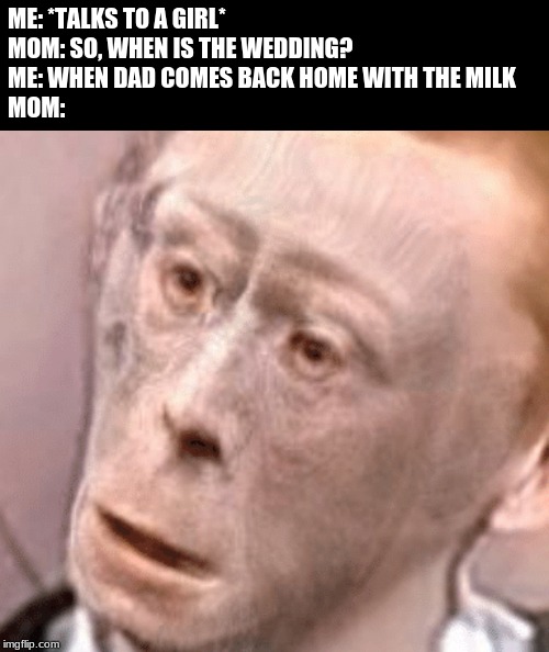 wot monkeh | ME: *TALKS TO A GIRL* 
MOM: SO, WHEN IS THE WEDDING?
ME: WHEN DAD COMES BACK HOME WITH THE MILK
MOM: | image tagged in wot monkeh | made w/ Imgflip meme maker
