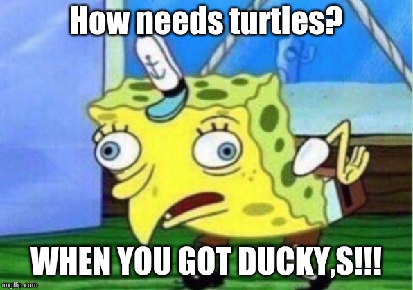 Mocking Spongebob | How needs turtles? WHEN YOU GOT DUCKY,S!!! | image tagged in memes,mocking spongebob | made w/ Imgflip meme maker
