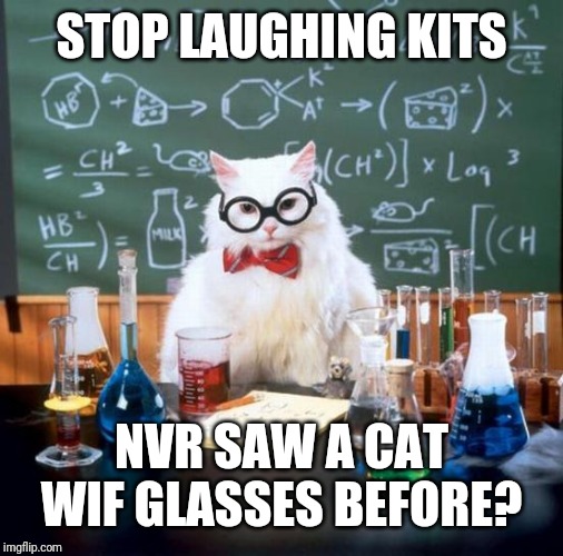 Chemistry Cat | STOP LAUGHING KITS; NVR SAW A CAT WIF GLASSES BEFORE? | image tagged in memes,chemistry cat | made w/ Imgflip meme maker