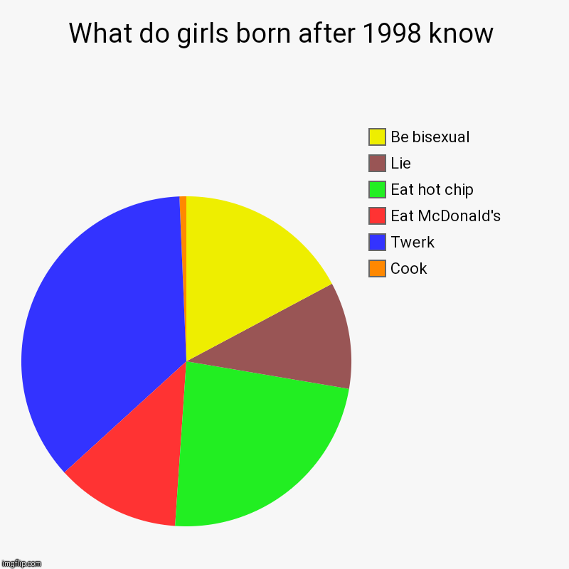 What do girls born after 1998 know | Cook, Twerk, Eat McDonald's, Eat hot chip, Lie, Be bisexual | image tagged in charts,pie charts | made w/ Imgflip chart maker