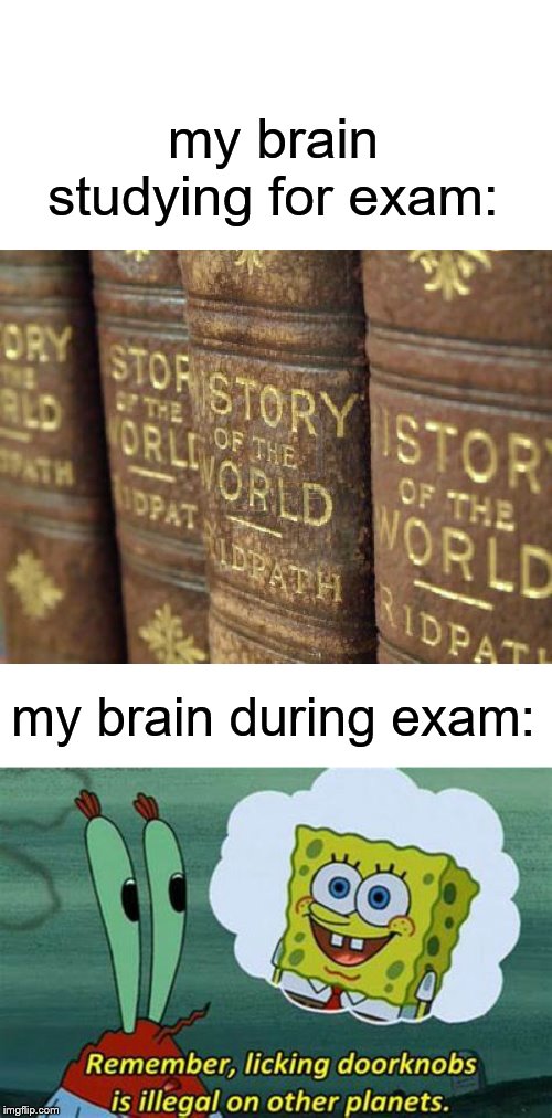 my brain studying for exam:; my brain during exam: | image tagged in history books | made w/ Imgflip meme maker