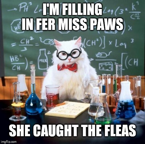 Chemistry Cat | I'M FILLING IN FER MISS PAWS; SHE CAUGHT THE FLEAS | image tagged in memes,chemistry cat | made w/ Imgflip meme maker