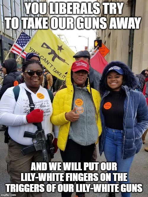 politics | YOU LIBERALS TRY TO TAKE OUR GUNS AWAY; AND WE WILL PUT OUR LILY-WHITE FINGERS ON THE TRIGGERS OF OUR LILY-WHITE GUNS | image tagged in political meme | made w/ Imgflip meme maker