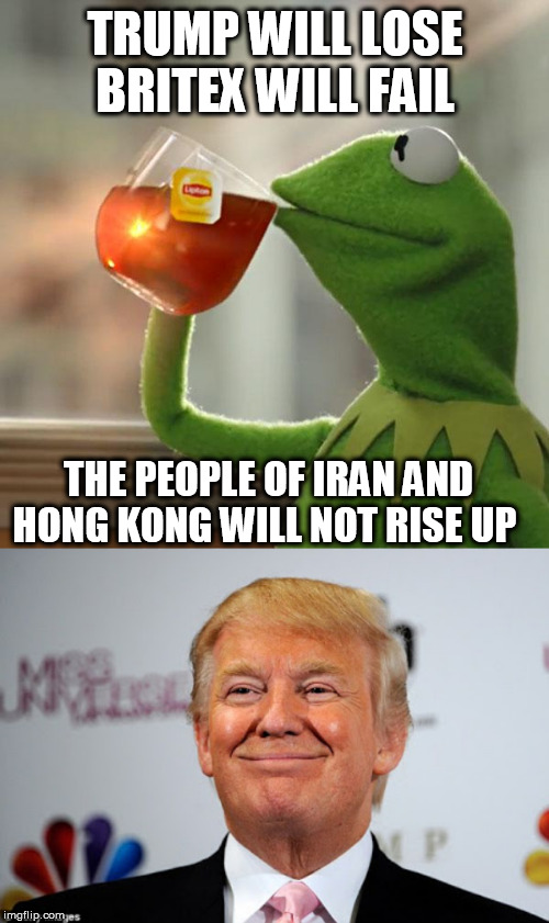 TRUMP WILL LOSE BRITEX WILL FAIL; THE PEOPLE OF IRAN AND HONG KONG WILL NOT RISE UP | image tagged in memes,but thats none of my business,donald trump approves | made w/ Imgflip meme maker