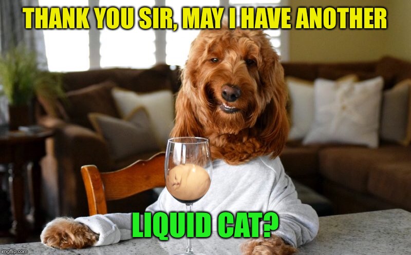 THANK YOU SIR, MAY I HAVE ANOTHER LIQUID CAT? | made w/ Imgflip meme maker