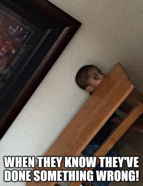 When they know they've done something wrong! | WHEN THEY KNOW THEY'VE DONE SOMETHING WRONG! | image tagged in memes,funny memes,when they know they've done something wrong | made w/ Imgflip meme maker