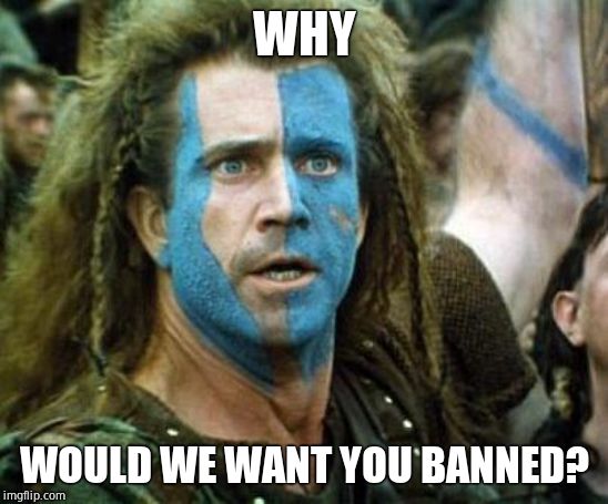 Is Mel Gibson an alcoholic racist? | WHY WOULD WE WANT YOU BANNED? | image tagged in is mel gibson an alcoholic racist | made w/ Imgflip meme maker