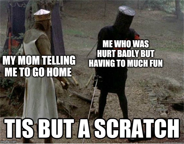 Playground | ME WHO WAS HURT BADLY BUT HAVING TO MUCH FUN; MY MOM TELLING ME TO GO HOME | image tagged in black knight scratch,memes | made w/ Imgflip meme maker