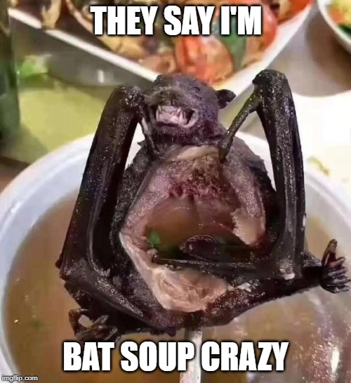 bat | THEY SAY I'M; BAT SOUP CRAZY | image tagged in bat | made w/ Imgflip meme maker