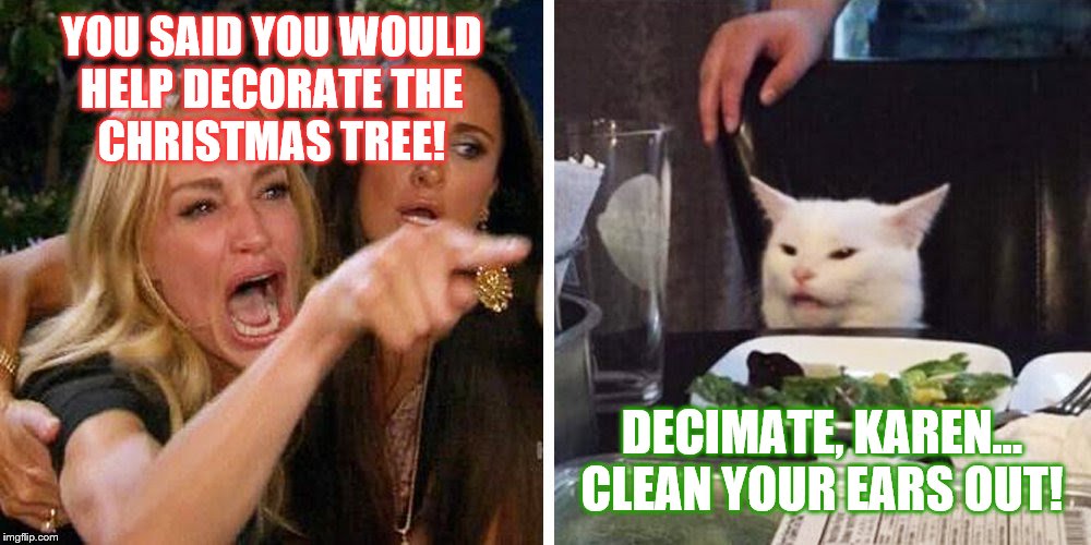 Smudge the cat | YOU SAID YOU WOULD
 HELP DECORATE THE 
CHRISTMAS TREE! DECIMATE, KAREN...
CLEAN YOUR EARS OUT! | image tagged in smudge the cat | made w/ Imgflip meme maker