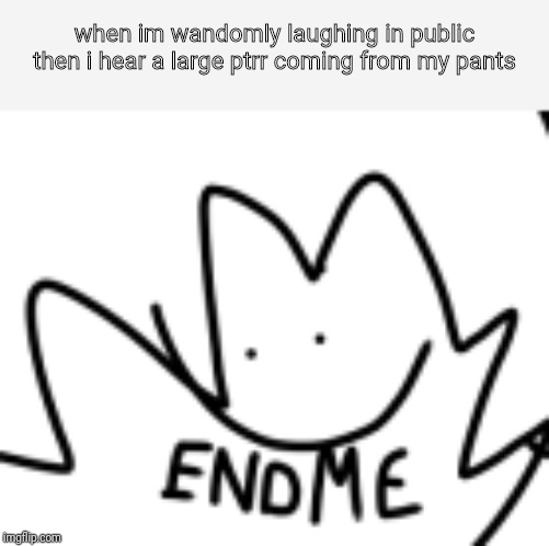end me | when im wandomly laughing in public then i hear a large ptrr coming from my pants | image tagged in end me | made w/ Imgflip meme maker