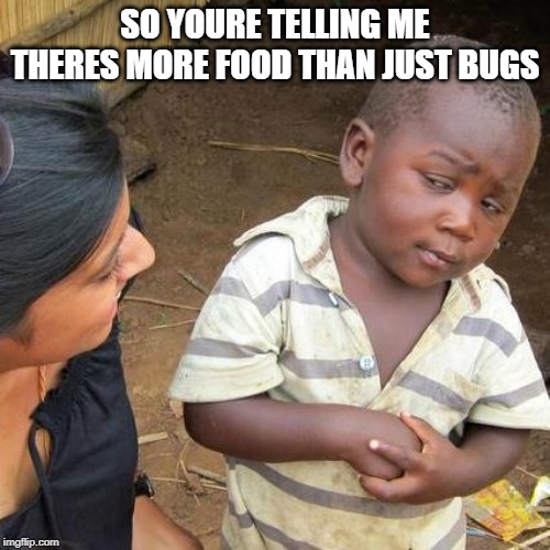 Third World Skeptical Kid | SO YOURE TELLING ME THERES MORE FOOD THAN JUST BUGS | image tagged in memes,third world skeptical kid | made w/ Imgflip meme maker
