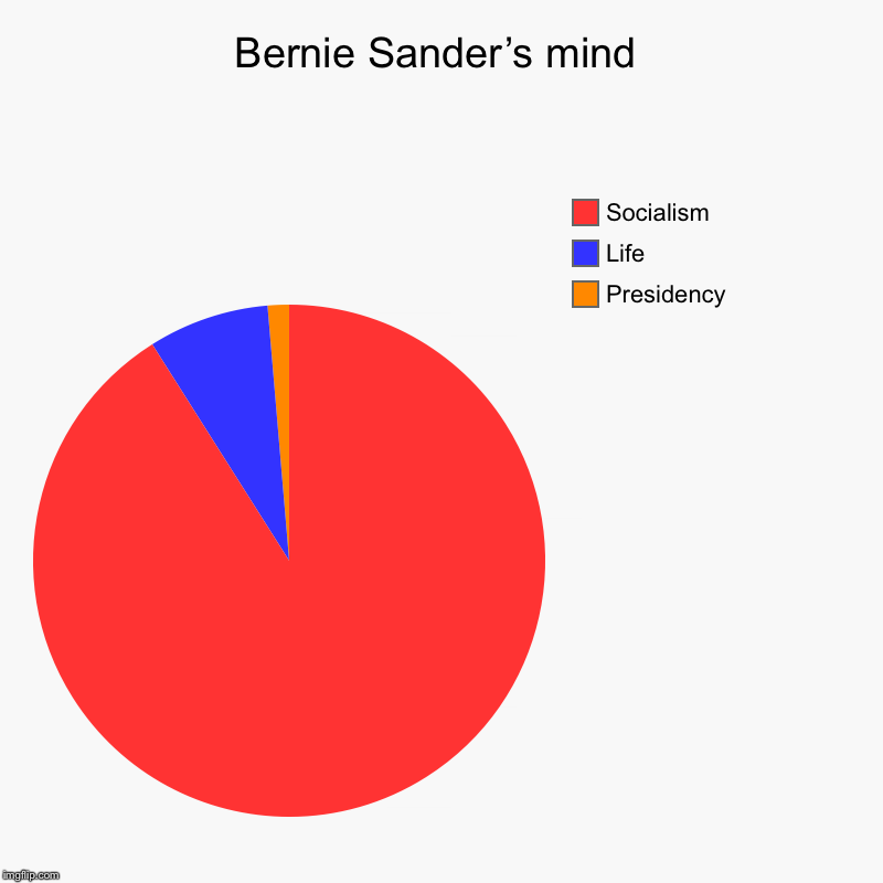 Bernie Sander’s mind | Presidency, Life, Socialism | image tagged in charts,pie charts | made w/ Imgflip chart maker