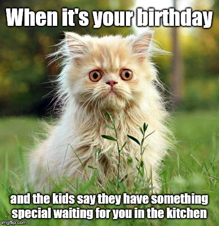 Doomed Face | When it's your birthday; and the kids say they have something special waiting for you in the kitchen | image tagged in doomed face cat,worried,inevitable destruction of your kitchen,humor | made w/ Imgflip meme maker