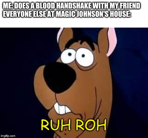 Scooby Doo Surprised | ME: DOES A BLOOD HANDSHAKE WITH MY FRIEND
EVERYONE ELSE AT MAGIC JOHNSON'S HOUSE:; RUH ROH | image tagged in scooby doo surprised,memes,magic johnson,uh oh,scooby doo | made w/ Imgflip meme maker