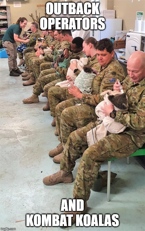 OUTBACK OPERATORS; AND KOMBAT KOALAS | image tagged in australia,australians,meanwhile in australia,australian army,surprised koala,koala | made w/ Imgflip meme maker