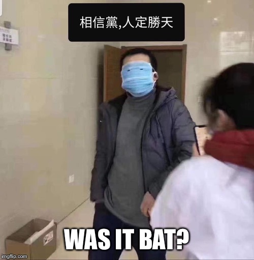WAS IT BAT? | made w/ Imgflip meme maker