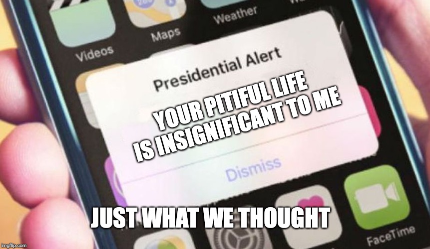 So how do you really feel Mr President | YOUR PITIFUL LIFE IS INSIGNIFICANT TO ME; JUST WHAT WE THOUGHT | image tagged in memes,presidential alert,president,donald trump | made w/ Imgflip meme maker