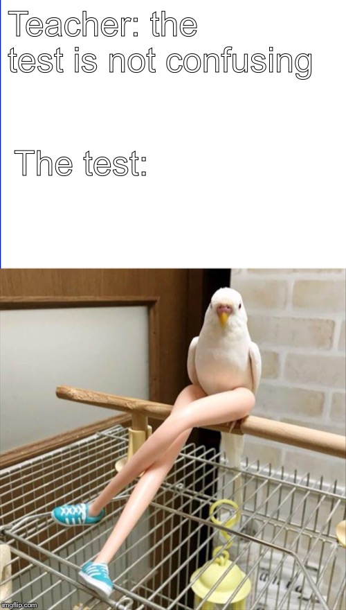 Basically Every Test in School Be Like | Teacher: the test is not confusing; The test: | image tagged in test,weird,teacher | made w/ Imgflip meme maker