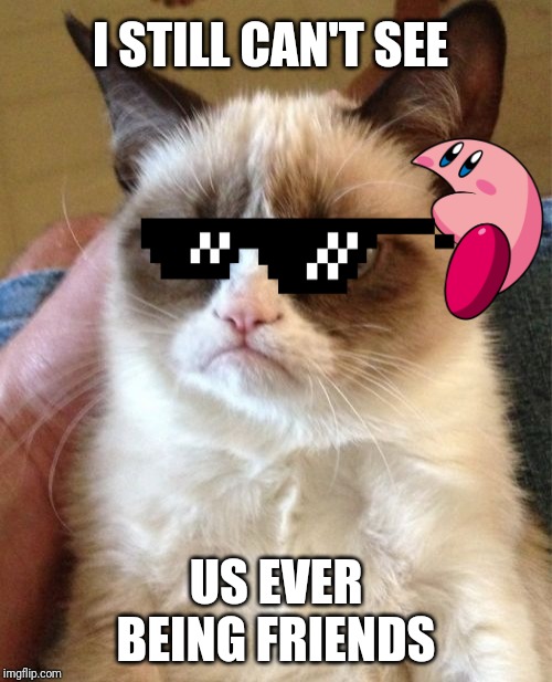 Grumpy Cat | I STILL CAN'T SEE; US EVER BEING FRIENDS | image tagged in memes,grumpy cat | made w/ Imgflip meme maker